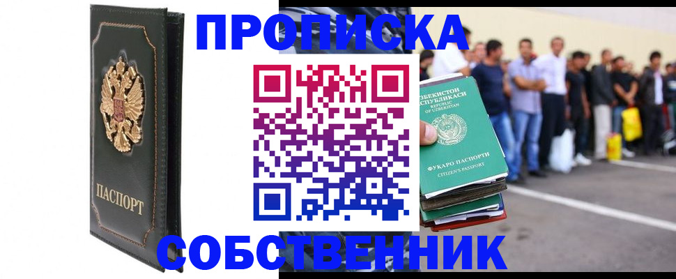 прописка поиск в Пскове